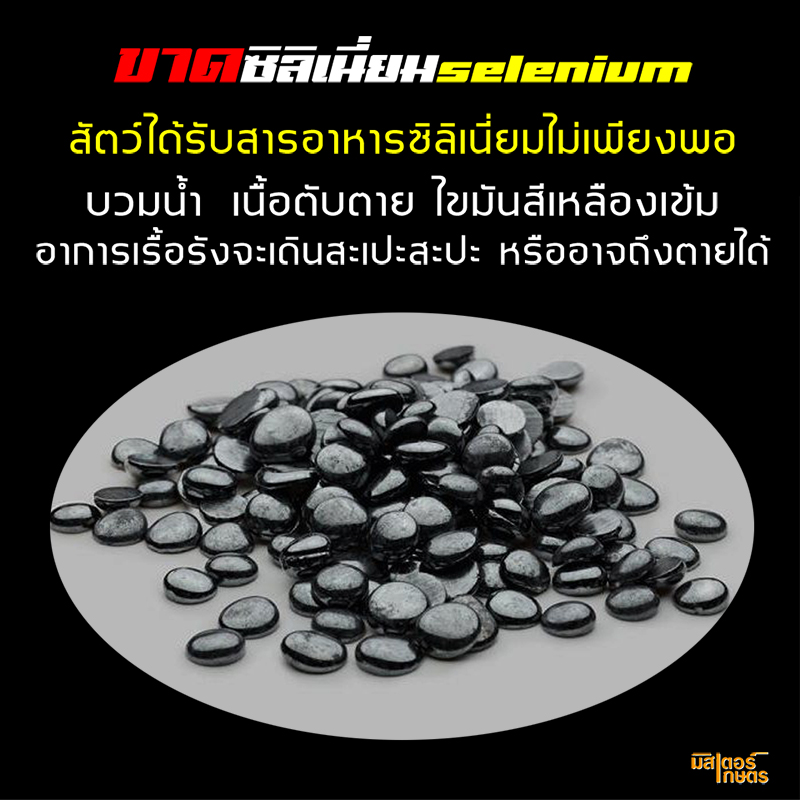 มินเนอร์99 "Minner99" แร่ธาตุจำเป็นสำหรับสัตว์